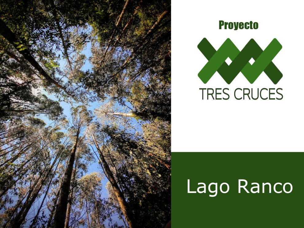 Proyecto Tres Cruces